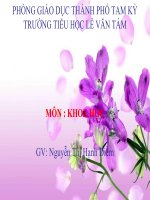 Khoa học4: Nguyên nhân làm nước bị ô nhiễm