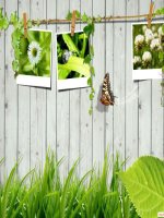 Anh hưởng lẫn nhau giữa các sinh vâtl