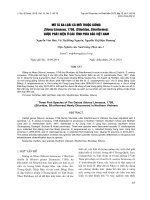 báo cáo khoa học đề tài MÔ TẢ BA LOÀI CÁ MỚI THUỘC GIỐNG Silurus Linnaeus, 1758, (Siluridae, Siluriformes) ĐƯỢC PHÁT HIỆN Ở CÁC TỈNH PHÍA BẮC VIỆT NAM
