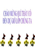 tac dong cua con nguoi doi voi moi truong (co tich hop GDMT va SDNLTKVHQ)