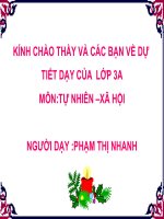 kha nang ki dieu cua la cay-TNXH3