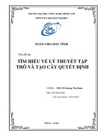 Tiểu luận môn Toán cho máy tính TÌM HIỂU VỀ LÝ THUYẾT TẬP THÔ VÀ TẠO CÂY QUYẾT ĐỊNH
