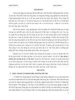 Báo động ô nhiểm độ thị ở Việt Nam