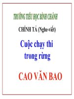 chính ta tuần 28-lop 3