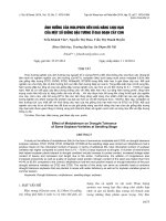 báo cáo khoa học đề tài ẢNH HƯỞNG CỦA MOLIPĐEN ĐẾN KHẢ NĂNG CHỊU HẠN CỦA MỘT SỐ GIỐNG ĐẬU TƯƠNG Ở GIAI ĐOẠN CÂY CON