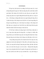 Tìm hiểu về thực trạng ô nhiễm môi trường và công tác quản lý thu gom rác thải tại tỉnh Cà Mau