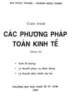 Giáo trình các phương pháp toán kinh tế. Phần II - Kinh tế lượng, Lý thuyết phục vụ đám đông, lý thuyết điều khiển dự trữ