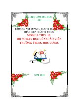 BÁO CÁO NỘI DUNG TỰ HỌC TỰ BỒI DƯỠNG PHẦN KIẾN THỨC TỰ CHỌN. MODULE THCS  16: HỒ SƠ DẠY HỌC CỦA GIÁO VIÊN  TRƯỜNG TRUNG HỌC CƠ SỞ.