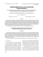 báo cáo khoa học đề tài CHUYỂN GEN KHÁNG SÂU cry1Ab, cry1B-cry1Ab VÀO CÂY MÍA (Saccharum officinarum L.)
