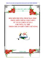 BÀI SOẠN MÔN TIẾNG VIỆT LỚP 2  TỪ TUẦN 2 ĐẾN TUẦN 4  CHI TIẾT, CỤ THỂ  THEO CHUẨN KIẾN THỨC KĨ NĂNG.