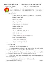 Báo cáo đội tháng 3