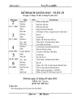 giao an L3 tuan 29 Quynh L