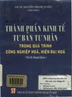 Thành phần kinh tế tư bản tư nhân - Trong quá trình công nghiệp hóa, hiện đại hóa