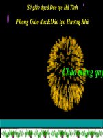 Tài liệu hướng dẫn thực hiện chuẩn KTKN môn Lịch sử