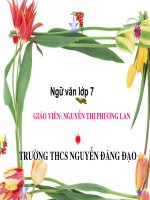 Tiet 56 Lam tho luc bat