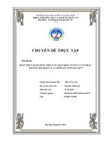 luận văn quản trị kênh phân phối Phát triển kênh phân phối ô tô nhập khẩu ở Công ty Cổ Phần Thương Mại Dịch Vụ và Thiết Kế Ngôi Sao Việt