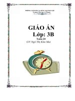 Giáo án Toán và Tiếng Việt lớp 3 tuần 20