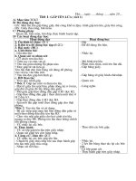 Giáo án Thủ công lớp 2 cả năm_Bộ 7