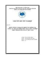PHÂN TÍCH và HOẠCH  ĐỊNH tài CHÍNH tại CÔNG TY TRÁCH NHIỆM hữu hạn CÔNG NGHIỆP THỰC PHẨM LIWAYWAY VIỆT NAM
