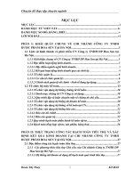 luận văn quản trị kinh doanh  Hạch toán tiêu thụ và xác định kết quả kinh doanh tại chi nhánh Công ty TNHH Dược phẩm Hoa Sen tại Hà Nội