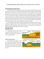 Ứng Dụng Ống Địa Kỹ Thuật Geotube cho các công trình ven bờ và trên biển