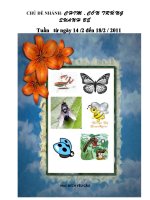 chim và côn trùng