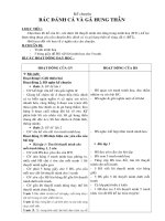 Giáo án Kể chuyện lớp 4 HK2_CKTKN_FULL