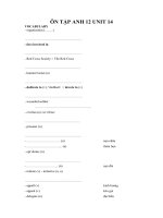ÔN TẬP ANH 12 UNIT 14
