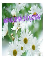 Bài giảng sinh học 6 Đặc điểm bên ngoài của lá