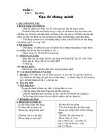 Giáo án Chính tả lớp 3 cả năm_CKTKN