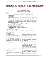 Giáo án Tự nhiên Xã hội Lớp 3 cả năm theo Chuẩn KTKN