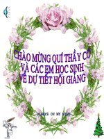 bài 13: cấu tạo ngoài của thân