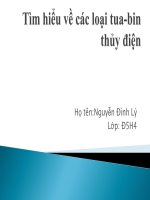 BÁO CÁO THƯC TẬP-TÌM HIỂU VỀ CÁC LOẠI TUA BIN THỦY ĐIỆN