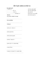 ÔN TẬP ANH 12 UNIT 11