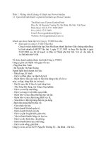 BÁO CÁO THỰC TẬP-Công ty TNHH Hoa Mai