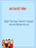 BÁO CÁO THỰC TẬP-Đề tài Thực trạng  sống thử  trong giới sinh viên Việt Nam hiện nay