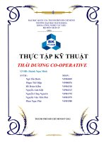 BÁO CÁO THỰC TẬP KỸ THUẬT-THÁI DƯƠNG CO-OPERATIVE