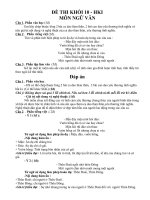 Đề thi HKI Ngữ văn 10