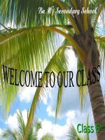 unit 13: A 3,4 - Tiết 80