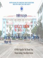 Báo cáo khí cụ điện  Tìm hiểu về các loại CB trên thực tế