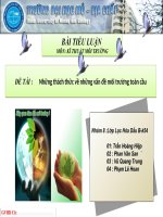 BÀI TIỂU LUẬN MÔN KỸ THUẬT MÔI TRƯỜNG-ĐỀ TÀI Những thách thức về những vấn đề môi trường toàn cầu