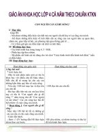 Giáo án Khoa học Lớp 4 cả năm theo Chuẩn KTKN