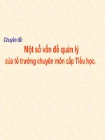 BÁO CÁO THỰC TẬP-Một số vấn đề quản lý của tổ trưởng chuyên môn cấp tiểu học