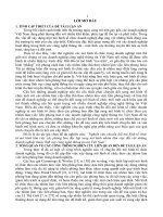 Nghiên cứu chuyển đổi mô hình tổ chức từ mô hình làm việc các phòng ban độc lập sang mô hình nhóm làm việc đối với những doanh nghiệp thuộc lĩnh vực công nghệ thông tin tại Việt Nam