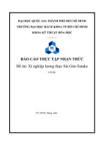 BÁO CÁO THỰC TẬP-Đề tài Xí nghiệp lương thực Sài Gòn Satake