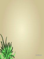 BÁO CÁO THỰC TẬP-Ô NHIỄM KHÔNG KHÍ VÀ OZONE