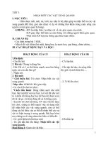 Giáo án Tự nhiên xã hội lớp 1 cả năm_Tích hợp KNS_Chi tiết