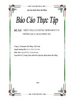 BÁO CÁO THỰC TẬP-ĐỀ TÀI HIỂN THỊ LCD DÙNG MSP430F47176