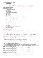 de cuong on thi hoc ki II hoa 11- cb ( phân dang)
