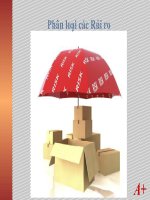 BÁO CÁO THỰC TẬP-Phân loại các Rủi ro TRONG BẢO HIỂM